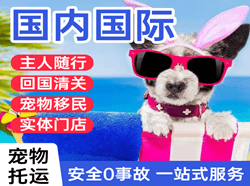 布拉克航空快递国际宠物托运 【国